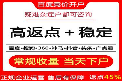 SEM运营公司经典案例点评